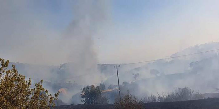 Δυσκολεύει η μάχη με τις φλόγες στην Πενταλιά - Ενισχύονται οι δυνάμεις πυρόσβεσης 